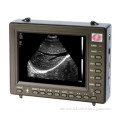 Palmtop Diagnostic Ultrasound Equipment for Veterinary Purpose (Am-2000V)